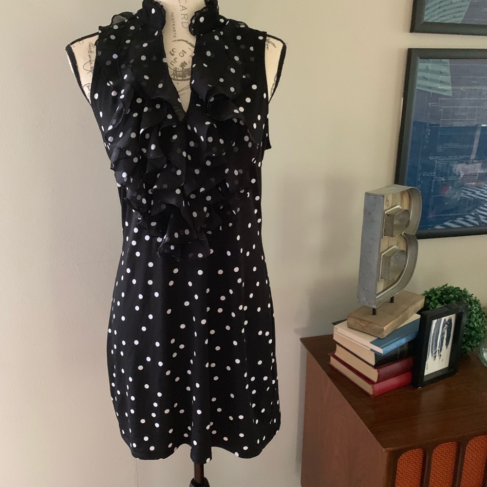 Ruffle Collar WHBM Dress